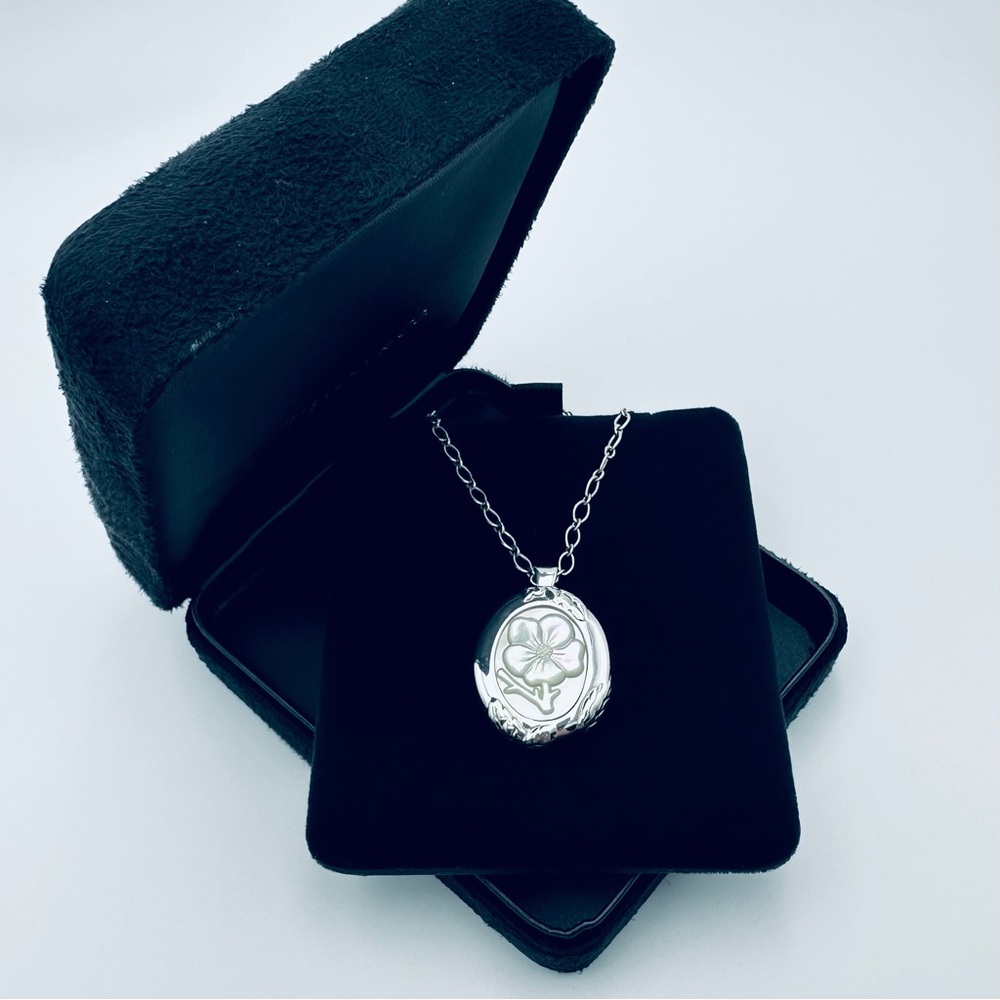 RARE Tiffany & Co. Mother of Pearl Cameo Necklace & Brooch Rose Sterling Silver - Picture 14 of 14